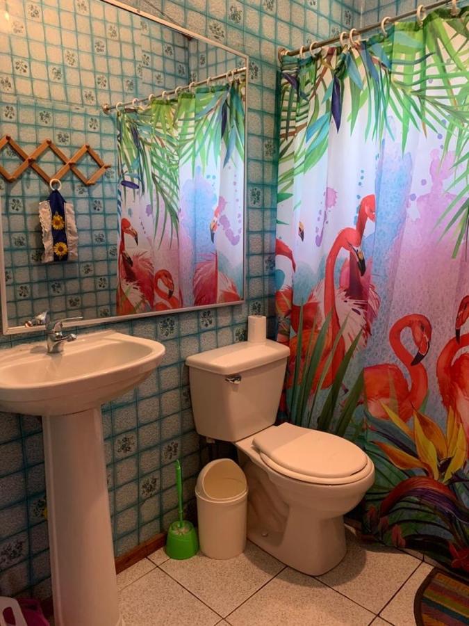 Cabanas Gonzalez Caniupan Licanray Exteriér fotografie
